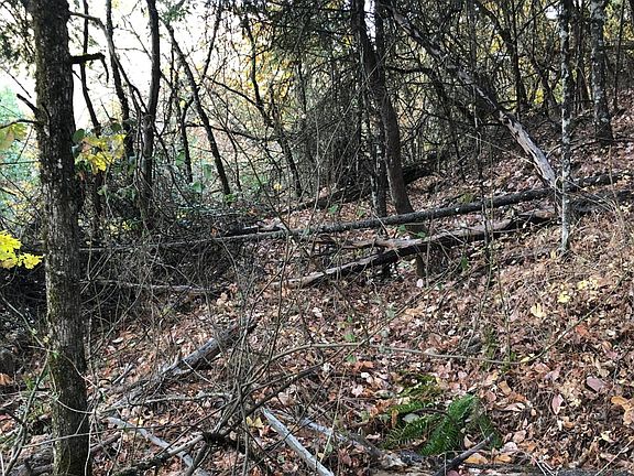 5th image of 0 Williams Hwy