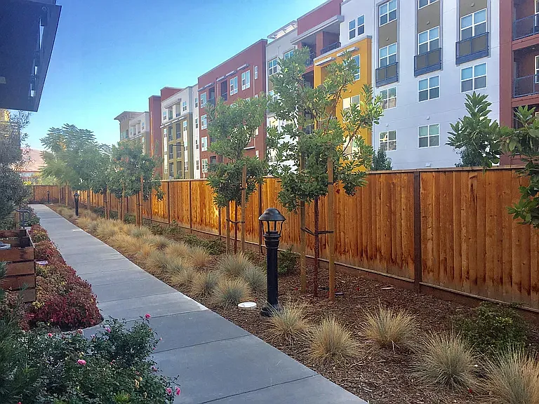 2 bed, 1449 sqft, $3,800 — Photo 2