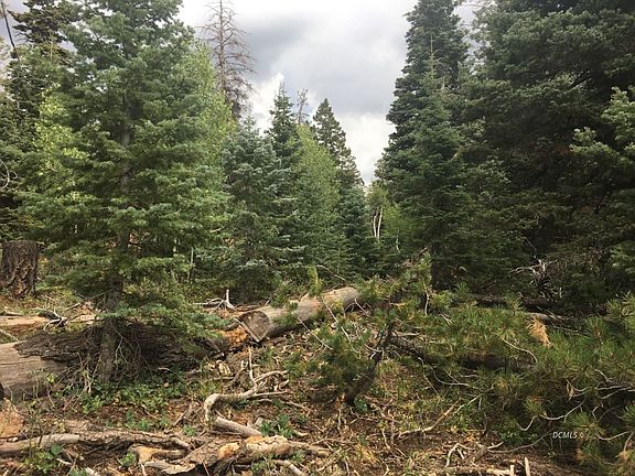 4th image of 5505 W Short Creek Ln