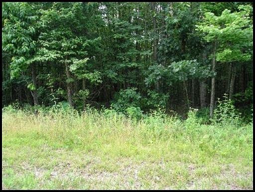2nd image of Timber Trl