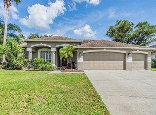 3904 Saddle Ridge St, Valrico, FL 33596