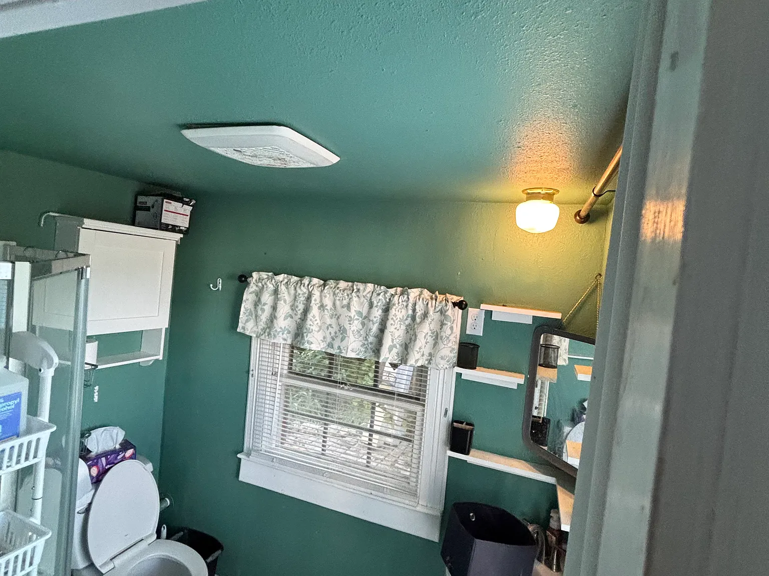1 bed, $900 — Photo 3