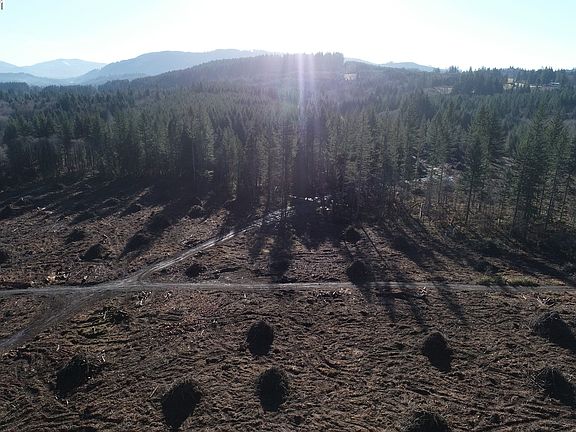 3rd image of 0 NE 354th St