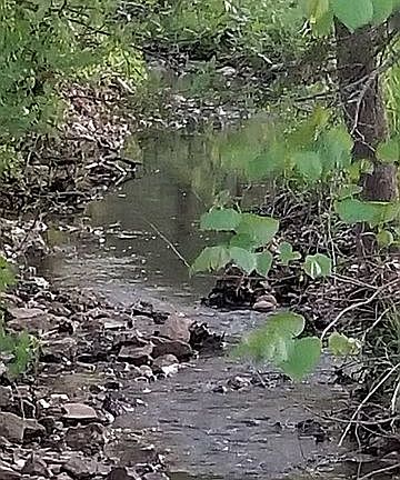 4th image of 69 Brushy Branch Cutt Off
