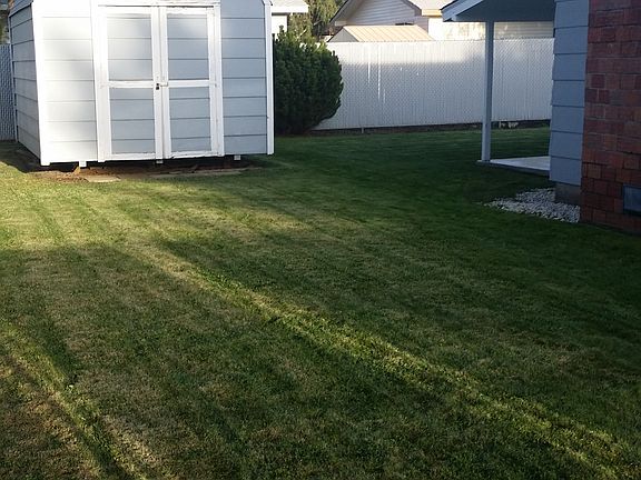 Side yard