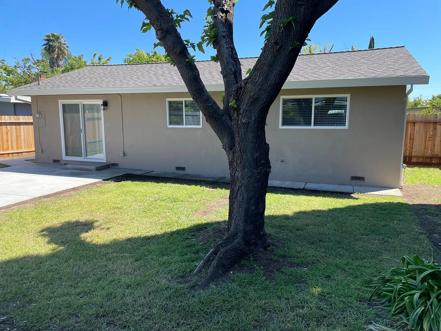 3 bed, 960 sqft, $2,450 — Photo 3