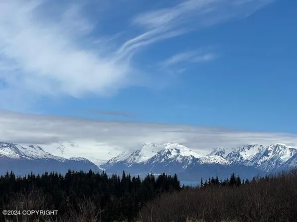 38926 Eagleaerie Wilderness Rd, Homer, AK 99603