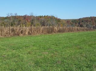 16389 Renegar Dr, Birch Tree, MO 65438