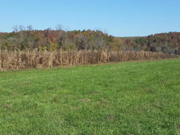 16389 Renegar Drive, Birch Tree, MO 65438