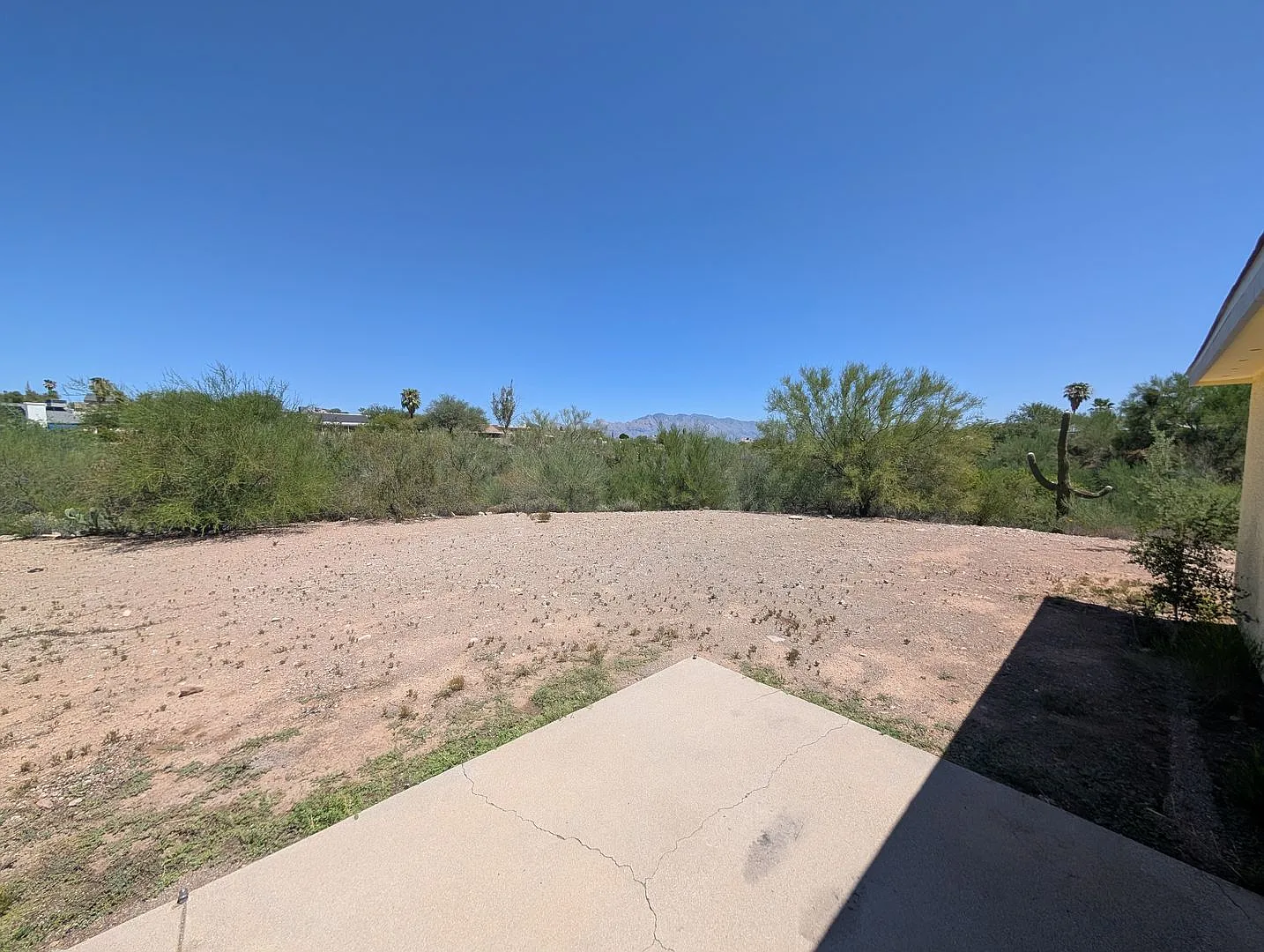 Must See 3bed & 2bath Home In Saddlewood Ranch - New AC & Huge Yard! — Photo 2