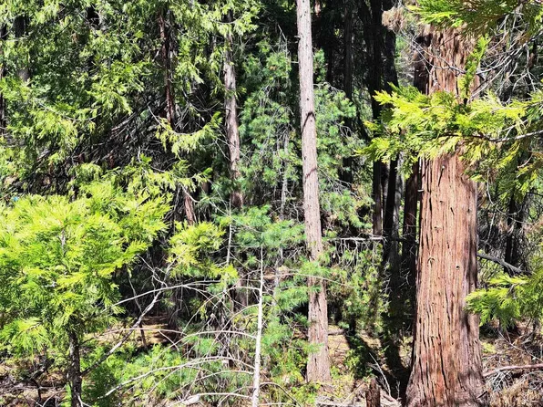 (undisclosed Address), Pollock Pines, CA 95726