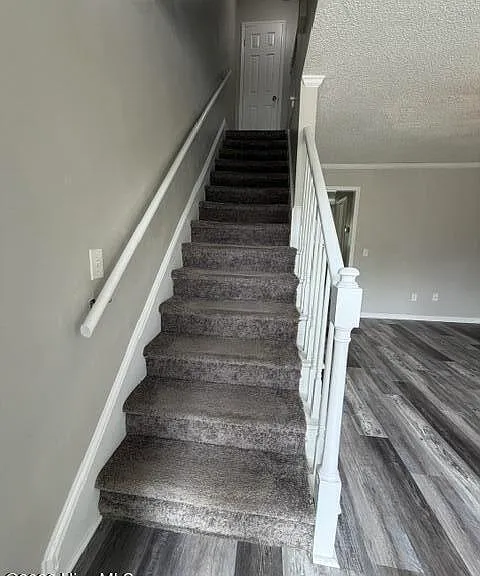 209 Beech St — Photo 6