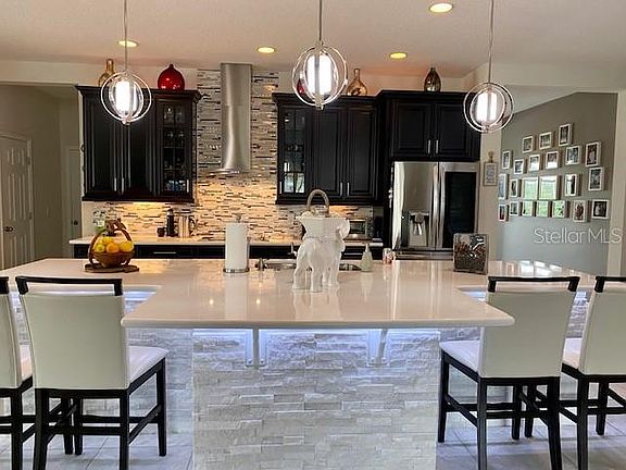 5th image of 12305 Sabal Palmetto Pl