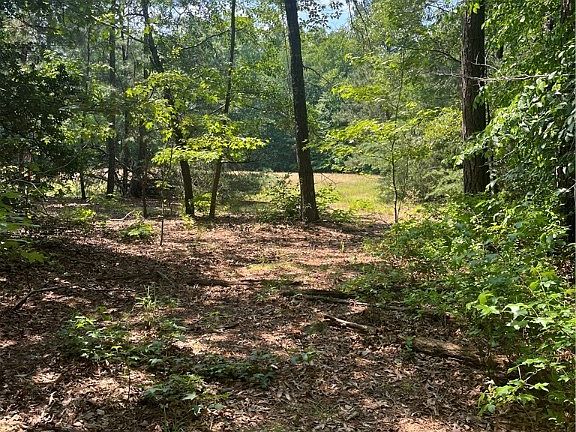 3rd image of Minitree Glen Ln