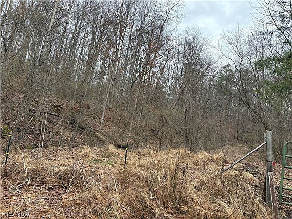 2nd image of Long Run Rd