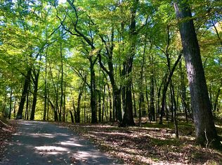 7336 Leonard St NE, Ada, MI 49301