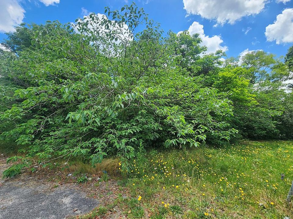 2nd image of 114 Green Swamp Rd