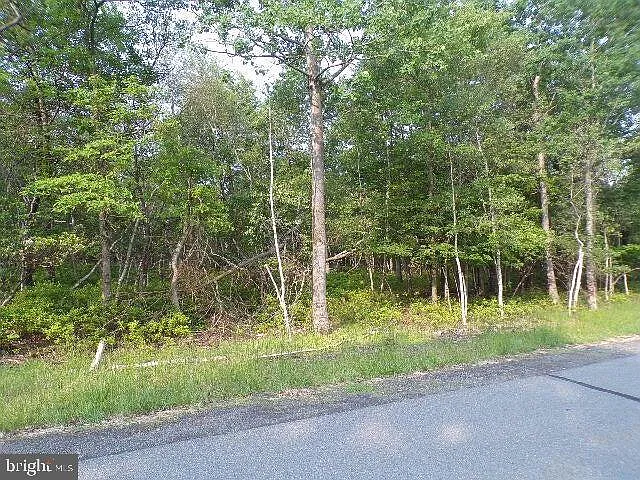 LOT 4403 Claremont Dr photo 1