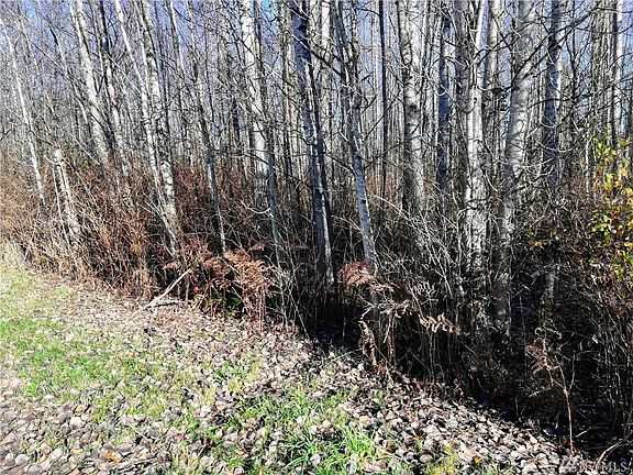 5th image of 154 Willow Rd