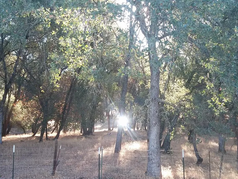 6730 Mystery Creek Ln — Photo 33