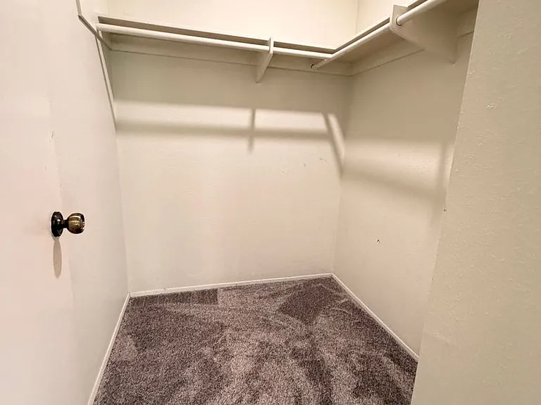 3687 Cactusridge Ct — Photo 17