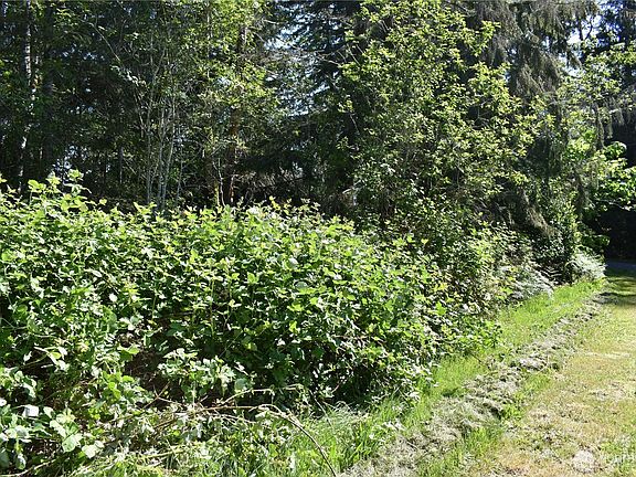 4th image of 130 W Satsop Drive