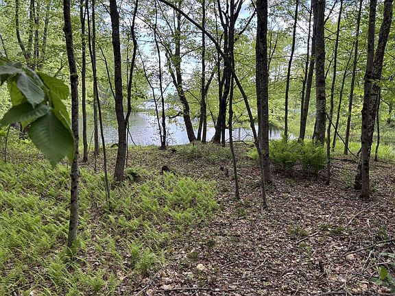 4th image of Lot A River Road