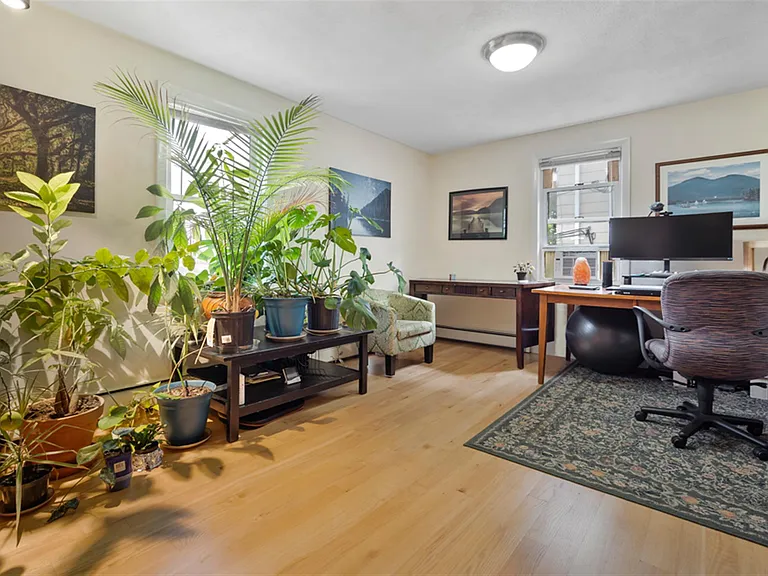 55 Waterhouse St — Photo 1