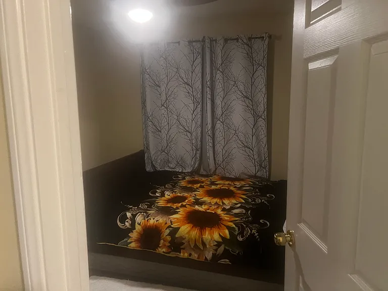 2625 Bottle Tree Dr — Photo 1