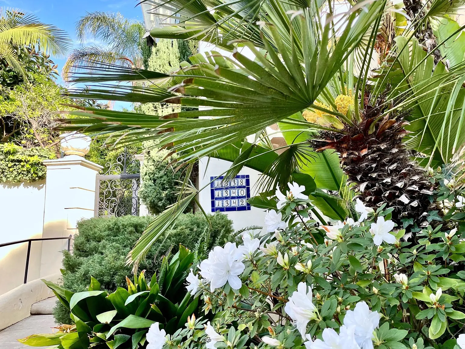 1 bed, 1000 sqft, $4,600 — Photo 4