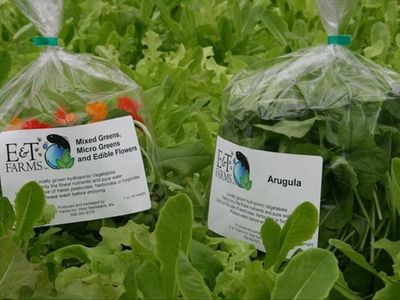 85 Lombard Ave, West Barnstable, MA, 02668