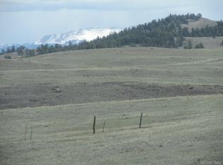 0 County Road 118 #1, Hartsel, CO 80449