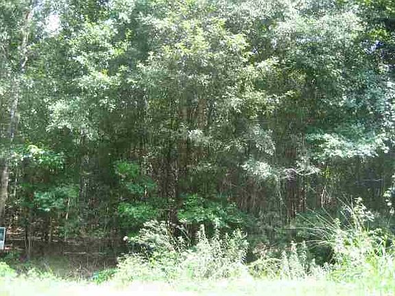 4th image of 58 Buckfield Road