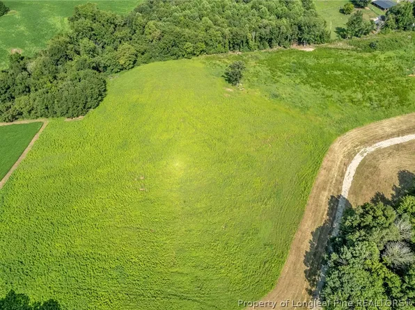 0 Laia Hills Rd Lot 4, Siler City, NC 27344