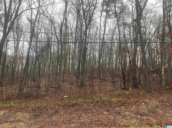 6270 Tyler Loop Rd Lot 11-13, Pinson, AL 35126