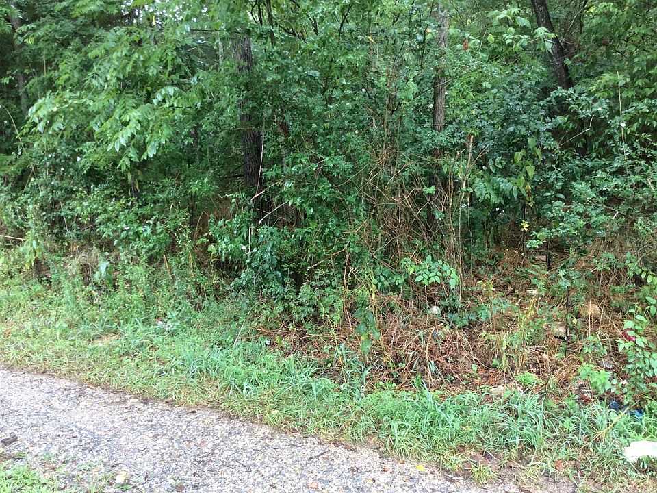 2nd image of 247 Wallaceville School Rd