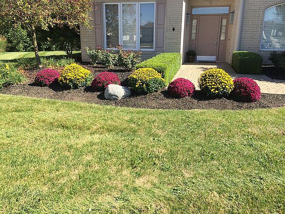 Front garden