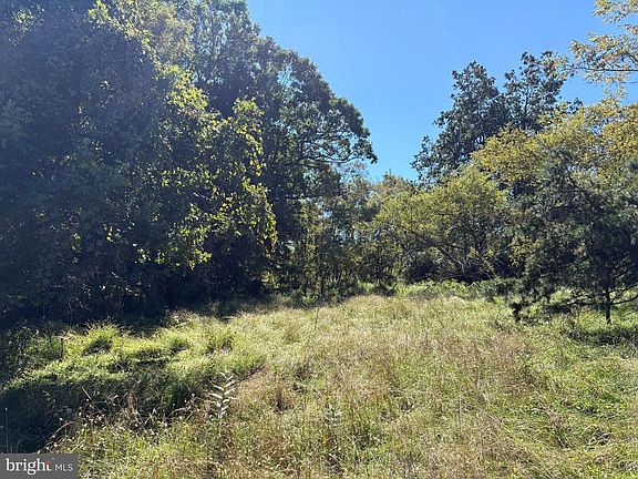 2nd image of LOT 205 Graces Cabin Rd