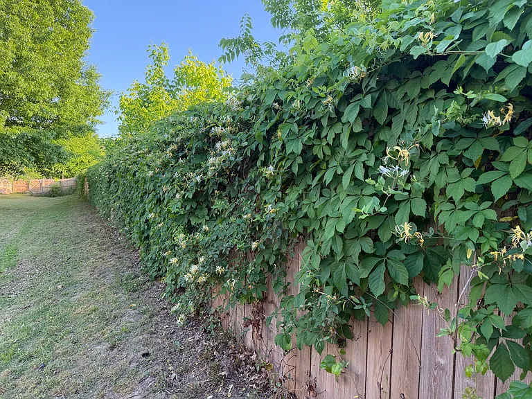 36 Brushfield Ln — Photo 11