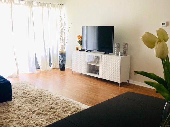 Modern white walls and engineered wood floors