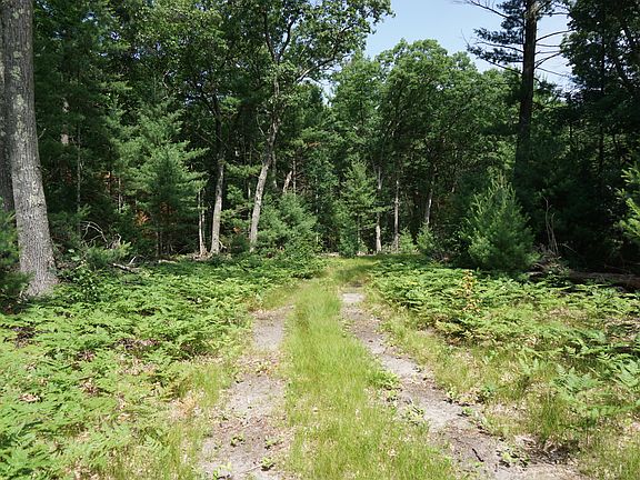 2nd image of 2287 White Lake Dr