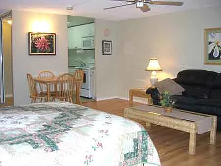 Studio, 481 sqft, $1,977 — Photo 3