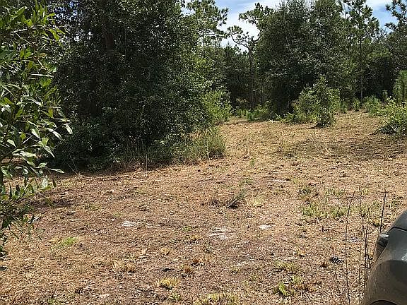 4th image of 1278 NW Eucalyptus Ave