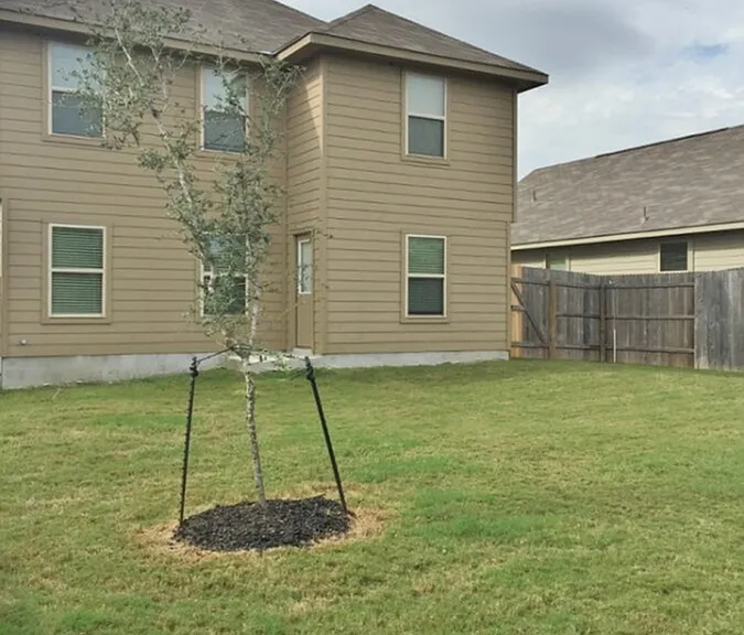 10406 Goose Way — Photo 7