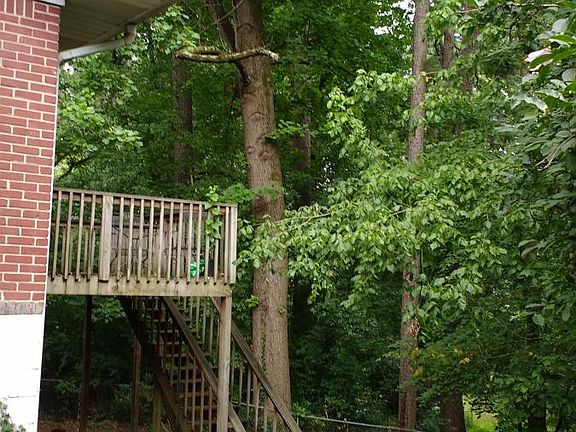 Backyard with deck