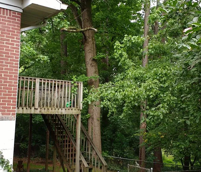 Back yard with deck