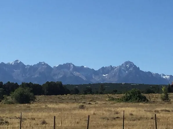 70 Alpenview Meadows Dr #2, Ridgway, CO 81432