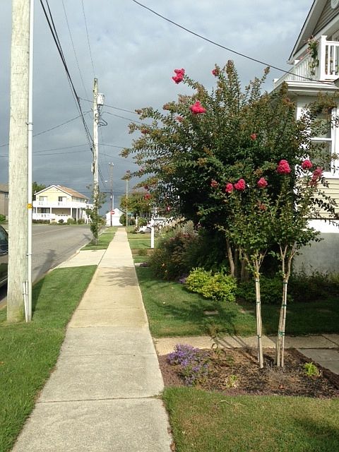 Street view to bay
