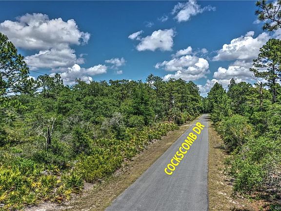 2nd image of 11711 W Cockscomb Dr