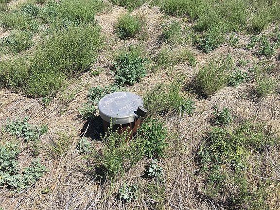 5th image of 8201 W Dillon Wash Rd